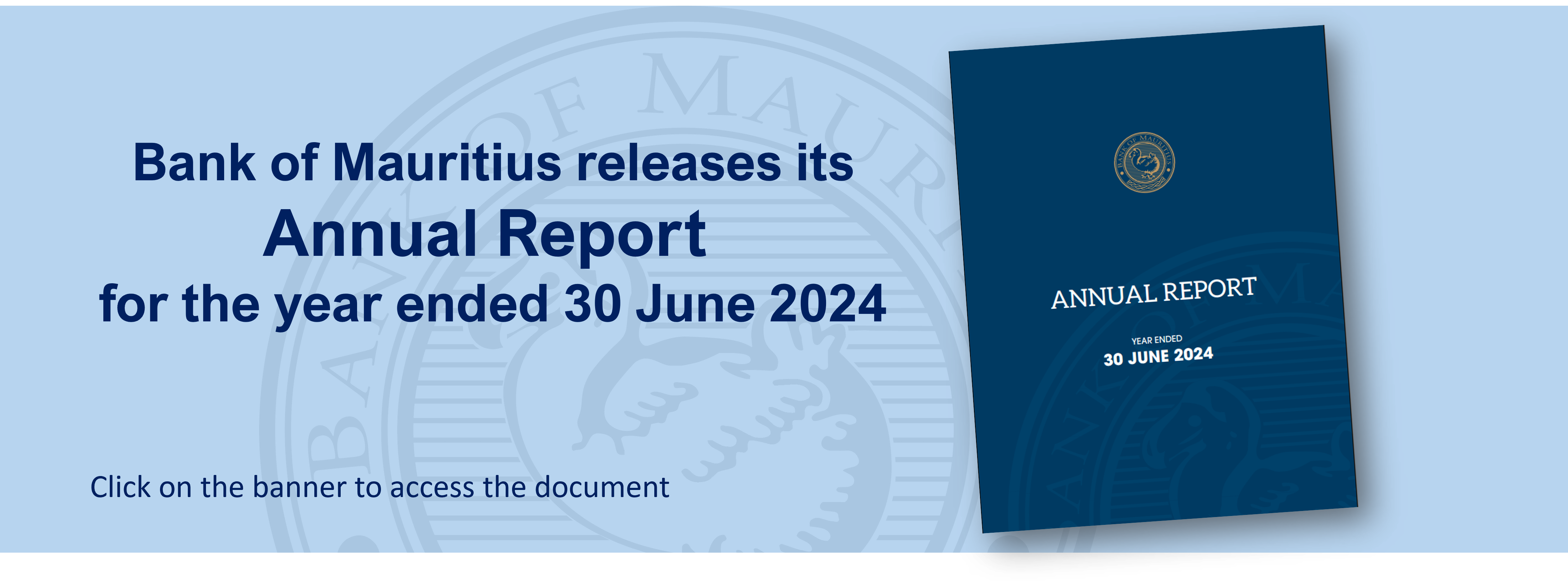 Annual Report 2024