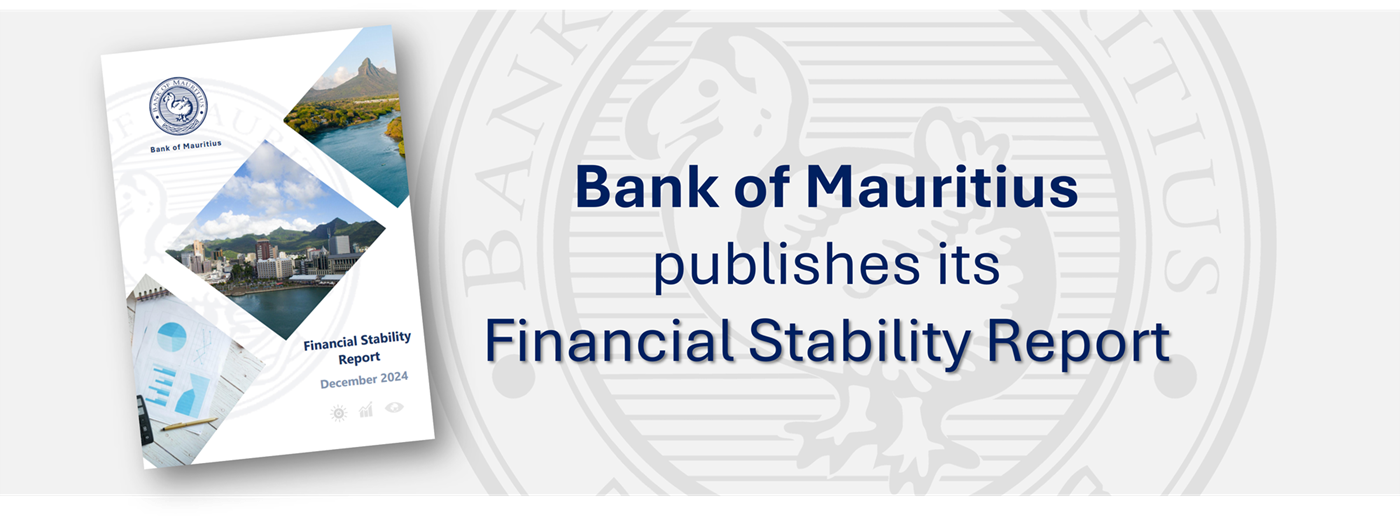  Financial Stability Report - December 2024