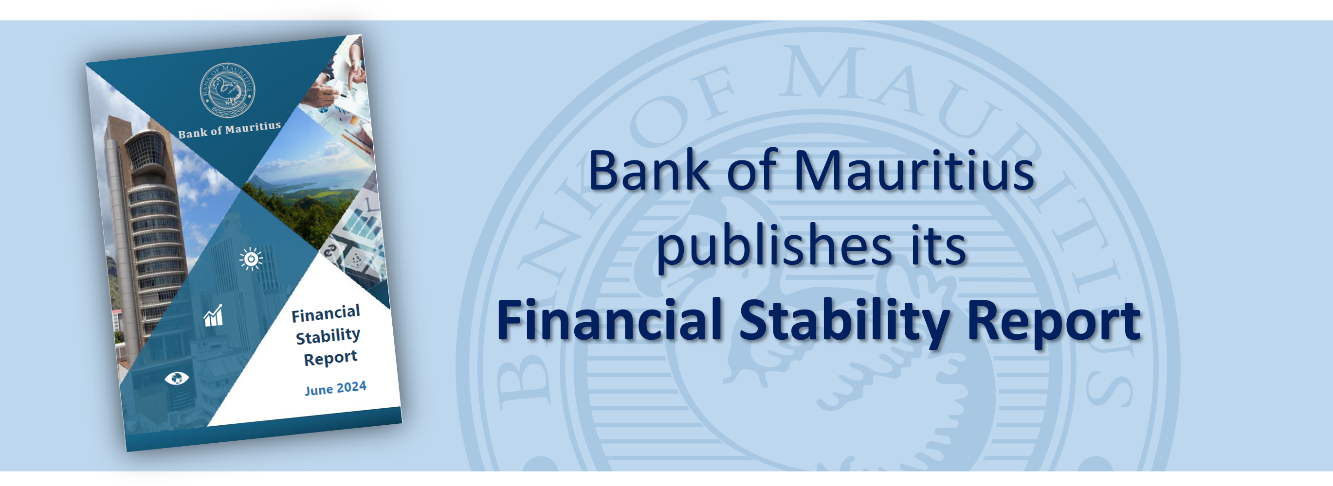  Financial Stability Report - June 2024